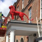 Wycombe Red Lion has VANISHED overnight
