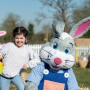 Beaconsfield: Odds Farm Park boasts Easter activities for families