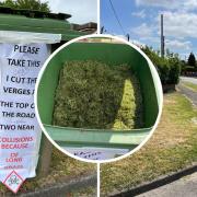 'People will get killed!': Man slams council for wild verge traffic dangers