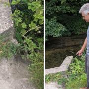 Grandad's safety concerns as kids slip down 'hazardous' riverbank