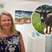 Gallery director Trisha Woodcock has noticed a drop in footfall to Layby Farm businesses