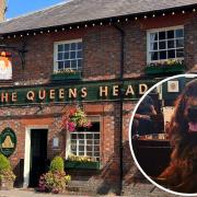 Dog-friendly pub reopens after makeover is 'almost complete'