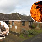 Cat owner is left in 'limbo' after fire damages home