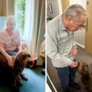Therapy dog spreads love to pet owners at care home