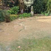 'It's a disaster': Elderly couple's garden FLOODS with raw sewage