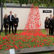 ‘It was really special’: Schoolchildren craft ‘poppy wave’ out of plastic bottles