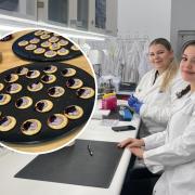 Wycombe student among FIRST in Europe to try lab-grown meat - here's what she thought