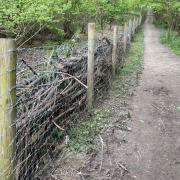 Council have ordered fence to be removed