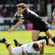 Gopperth faces Wasps during his spell with Newcastle Falcons