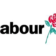 Labour party campaigner: Government to blame for poor results