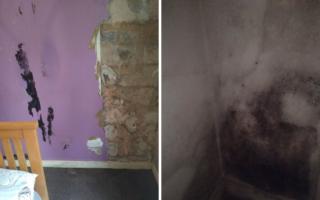 Vulnerable couple is forced to sleep on sofa amid black mould