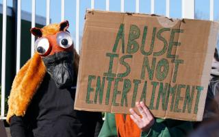 Bucks man charged for 'obstructing' road near Grand National in animal rights protest