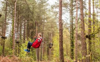 A boy swinging in the trees at Go Ape