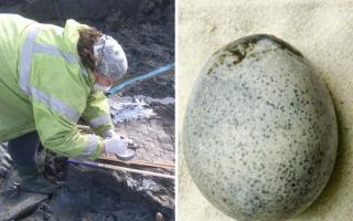 1,700-year-old Roman egg found in Aylesbury with liquid still inside