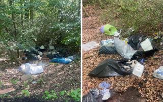Drainage company receives £4,000 fine for fly-tipping waste in woodland area