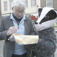 Support: A badger in Wycombe's High Street