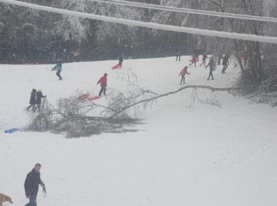 Twitter user @Emma_James: "A snowy scene in @StPeterVillage about noon"