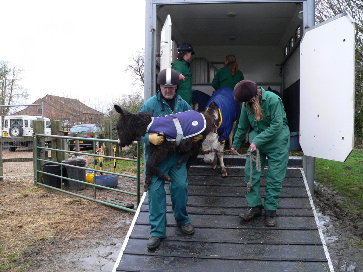 Esther was so weak when she was rescued she needed to be carried from the lorry