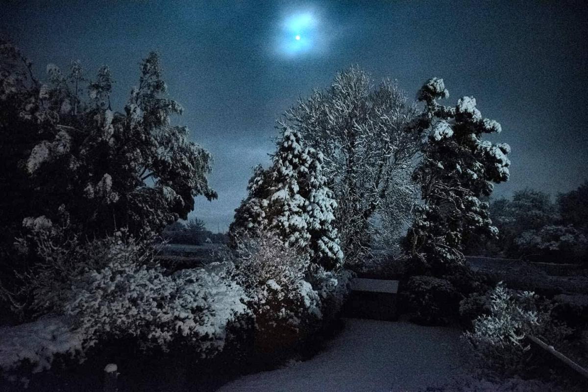 Moonlight on the snow in Cryers Hill - picture by Karen KayCee Colebeck